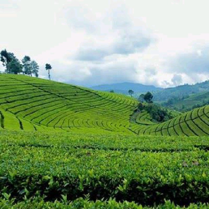 BANDUNGJAWABARAT