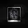 dy_zam19