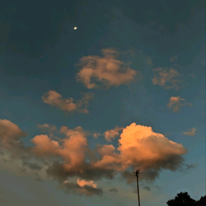 @Syad619[PS]