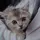 Enty_xyz