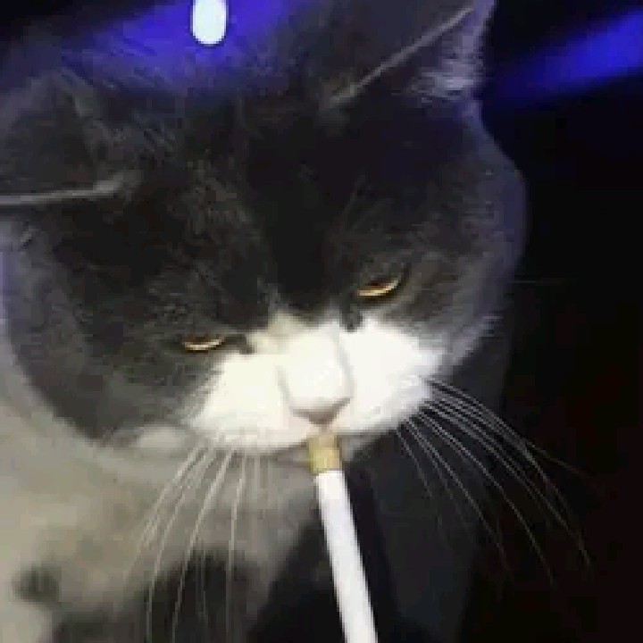 Prelwdtm