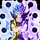 Xeno Zenith