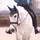 🐴😏✝️Horsy Edits✝️😏🐴