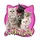 SixMeowFamily