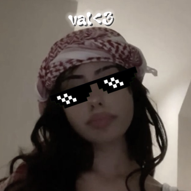 ⋆˚࿔ Val 𝜗𝜚˚⋆