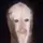 Thedogjeremy