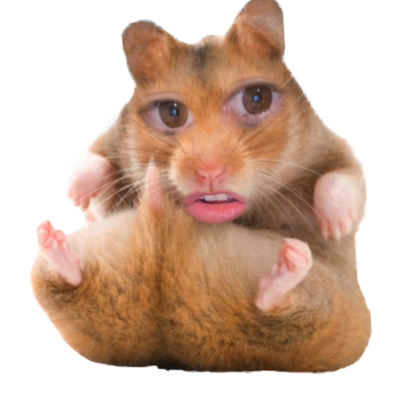 Lokonat
