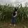 Yane Ross