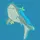 Sharkjr18