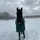 EA_Equine