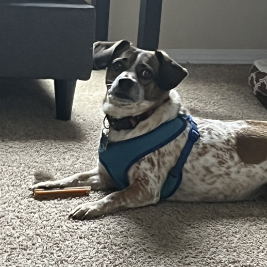 MAC