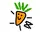 CarlTheCarrot