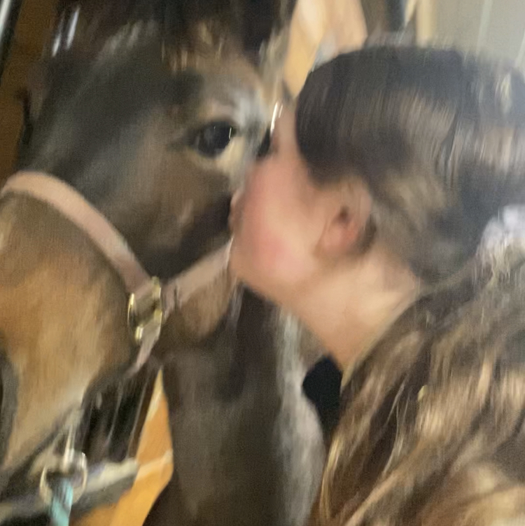 ☃️That_Grey_Gelding☃️