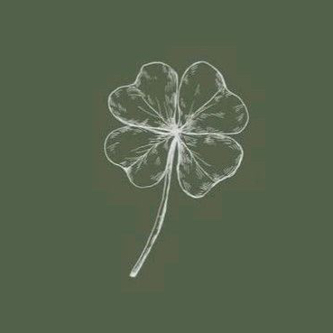 🍀Shell🍀