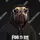 Sorenthedog 
