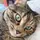 Nylah 
