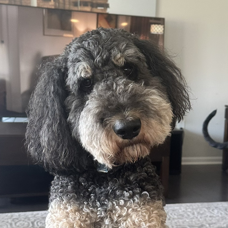 Coco Chanel