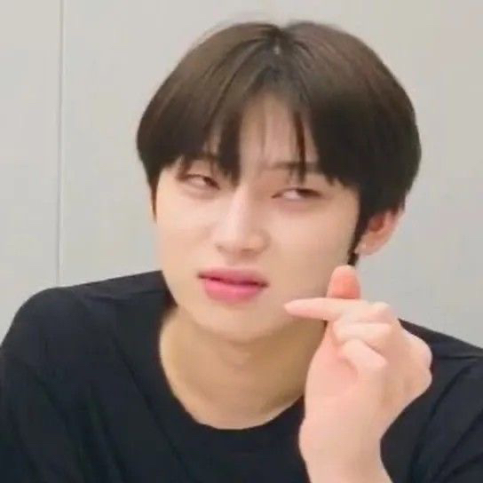 Kpop stan