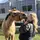 Jacklyn.eq