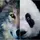 PandaWolf