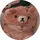 Dizzy olor 