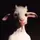 The goat