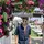 Joshua Collado741
