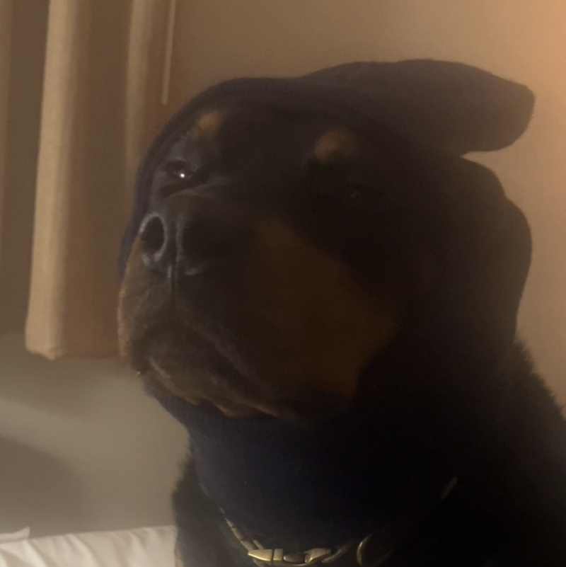 Gangsta Kev
