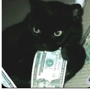ᴊᴜʟɪꨄ