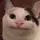 𝙉𝙄𝙆𝙊  [PS]