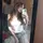 CoraleeLuvsYou
