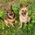 Charlie Otis  Sadie Mae