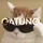 Gatuno 🐈‍⬛