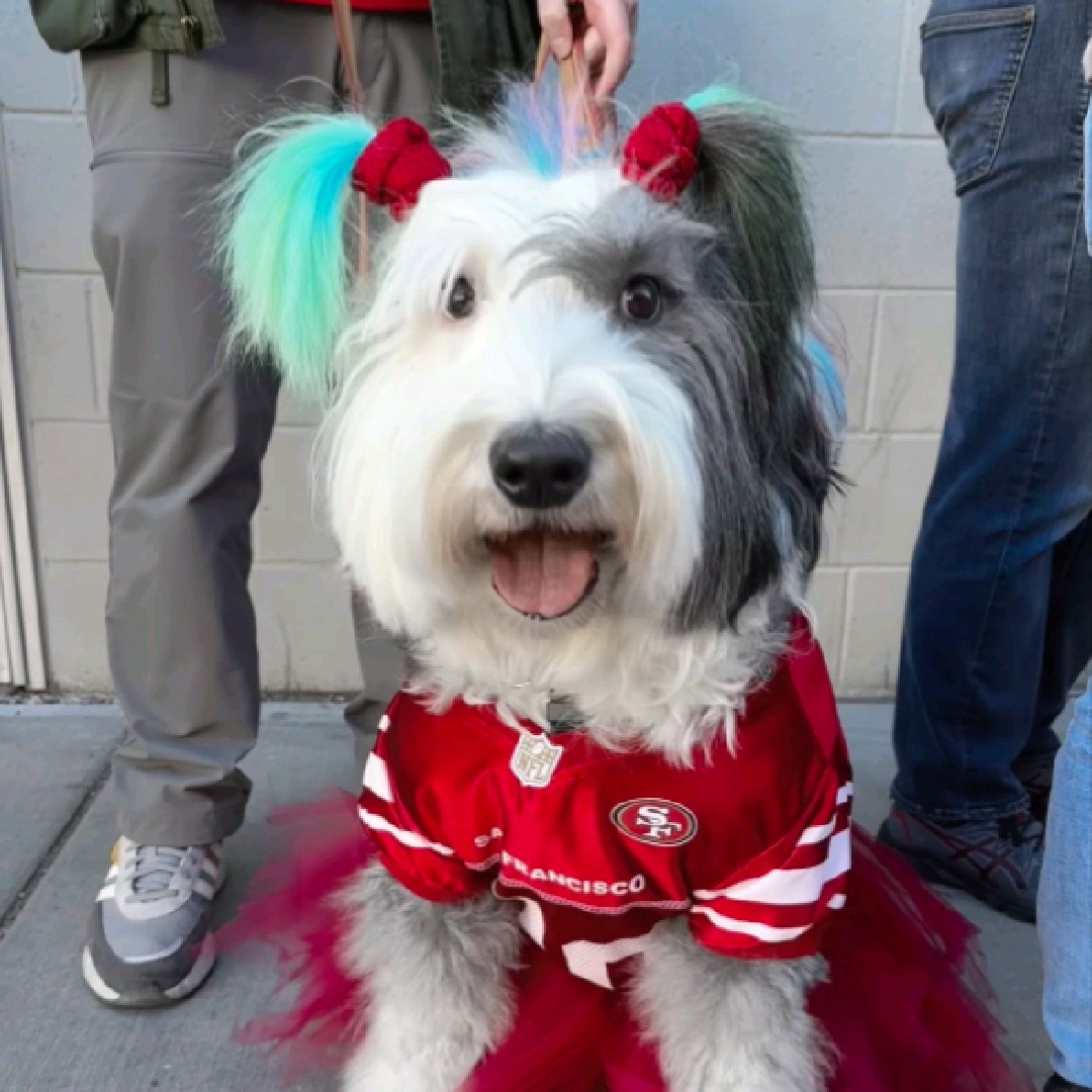 bumblybobtail