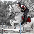 Knightqueenid