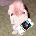 𝐂𝐡𝐫𝐢𝐬𝐭𝐢𝐚𝐧220