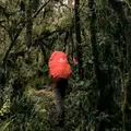 Garissudut_