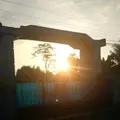 aDa_tion