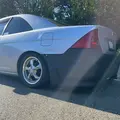 ꪮꪮꪶꫀꪑᒿ