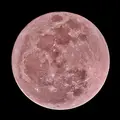 mine