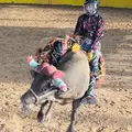 Jaripeo Potosino