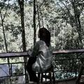 Suaracira