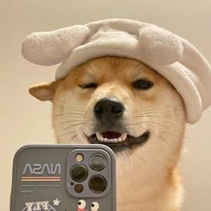 Dog🐶