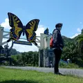 ansyarricy