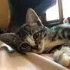 Mongmong