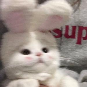 냠