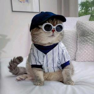 Ari Setiawan870 [WH]