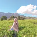 U n n D i p s y_