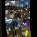 caballos perros