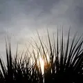 A_Natured_life
